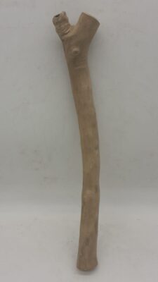 Java Wood - Single Stem - Medium 4