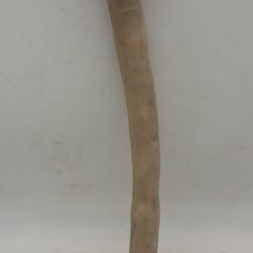 Java Wood - Single Stem - Medium 4