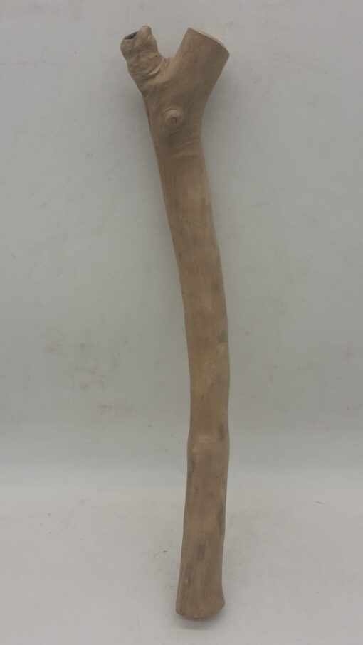 Java Wood - Single Stem - Medium 4 - Buzzard Reptile & Aquatics