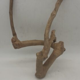 Java Wood - Double Stem - Small 5