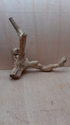 Java Wood - Double Stem - XL 5