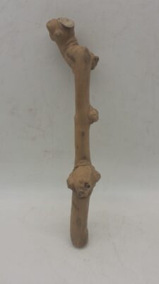 Java Wood - Single Stem - Small 5