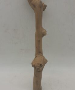 Java Wood - Single Stem - Small 5