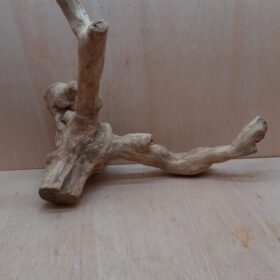 Java Wood - Double Stem - XL 5