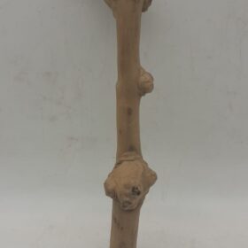 Java Wood - Single Stem - Small 5