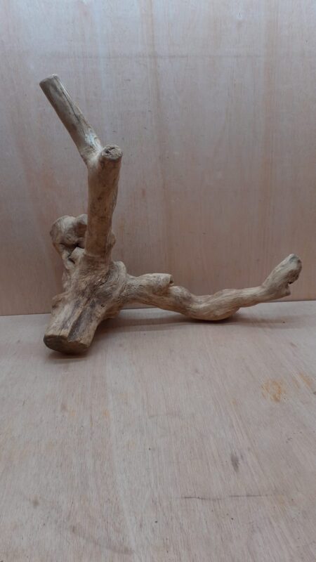 Java Wood - Double Stem - XL 5