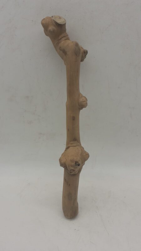 Java Wood - Single Stem - Small 5