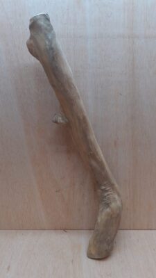 Java Wood - Single Stem - XL 5