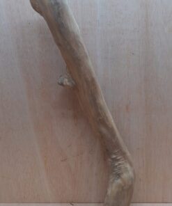 Java Wood - Single Stem - XL 5