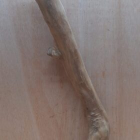 Java Wood - Single Stem - XL 5