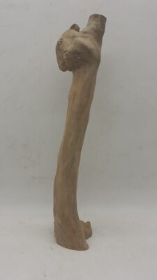 Java Wood - Single Stem - Medium 6
