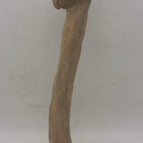 Java Wood - Single Stem - Medium 6