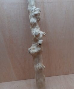 Java Wood - Single Stem - XL 6