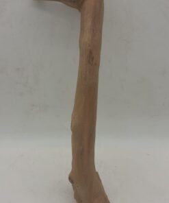 Java Wood - Single Stem - Small 6