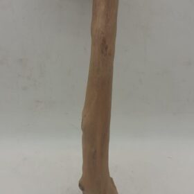 Java Wood - Single Stem - Small 6