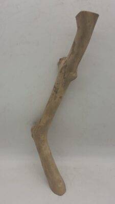 Java Wood - Single Stem - Large 6