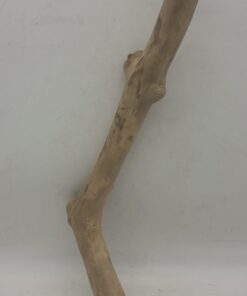 Java Wood - Single Stem - Large 6
