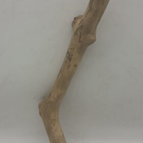Java Wood - Single Stem - Large 6