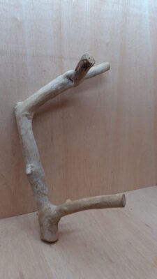 Java Wood - Double Stem - XL 7