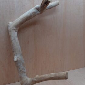 Java Wood - Double Stem - XL 7