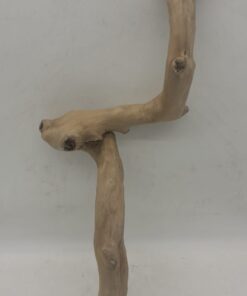 Java Wood - Single Stem - Large 7