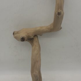 Java Wood - Single Stem - Large 7