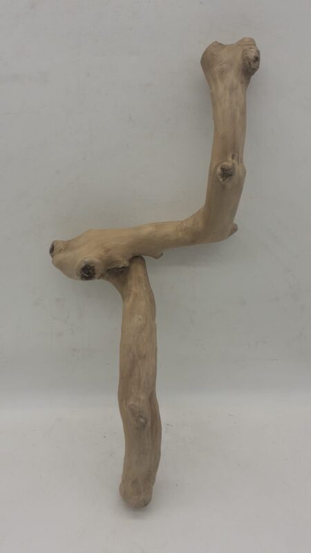 Java Wood - Single Stem - Large 7