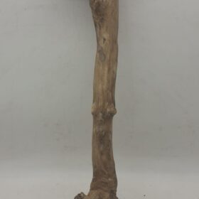 Java Wood - Single Stem - XL 7