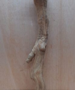 Java Wood - Single Stem - XL 8