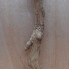 Java Wood - Single Stem - XL 8