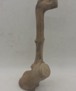 Java Wood - Single Stem - Small 8