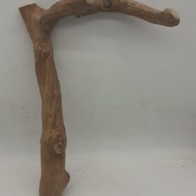 Java Wood - Single Stem - Large 8