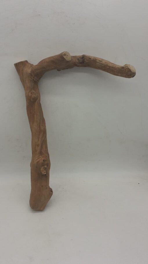 Java Wood - Single Stem - Large 8 - Buzzard Reptile & Aquatics