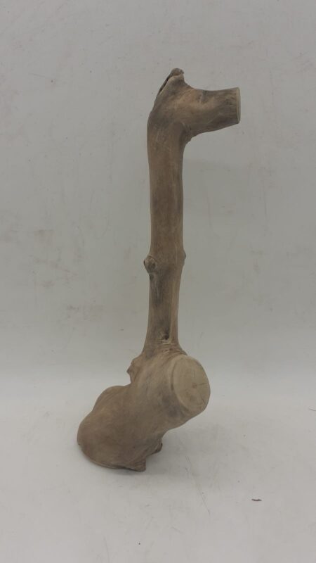 Java Wood - Single Stem - Small 8