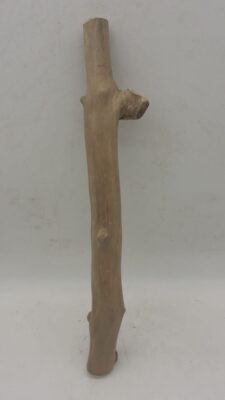Java Wood - Single Stem - Medium 9