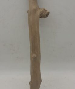 Java Wood - Single Stem - Medium 9