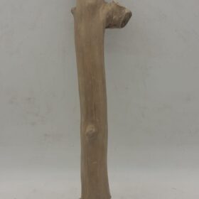 Java Wood - Single Stem - Medium 9