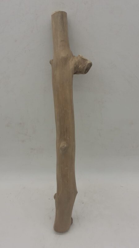 Java Wood - Single Stem - Medium 9