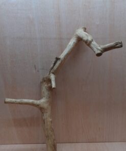 Java Wood - Double Stem - XL 9