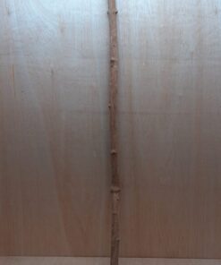 Straight Liana 2-3cm - Long - 9