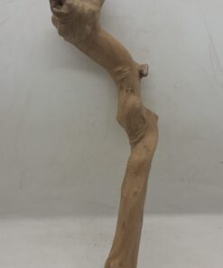 Java Wood - Single Stem - Large 3