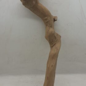 Java Wood - Single Stem - Large 3