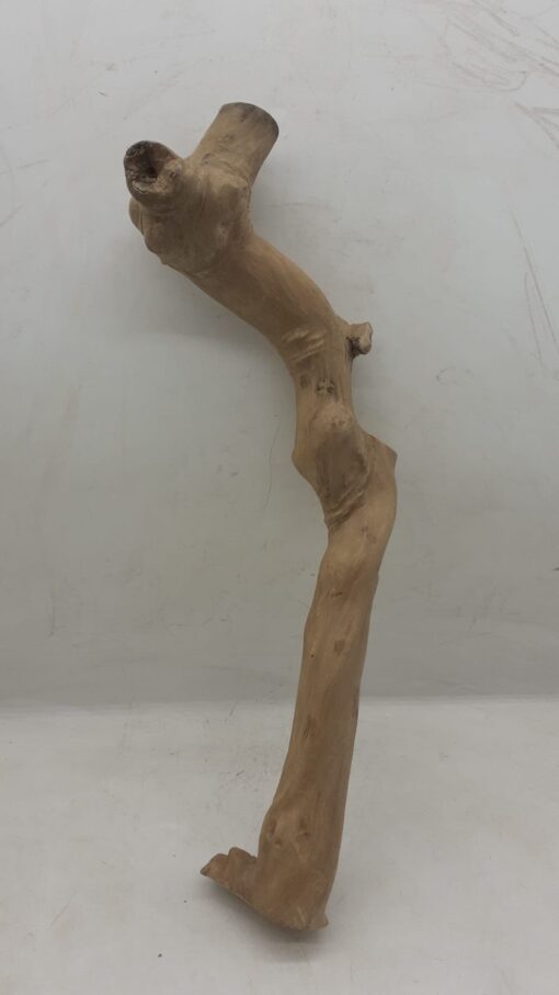 Java Wood - Single Stem - Large 3 - Buzzard Reptile & Aquatics