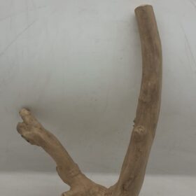 Java Wood - Double Stem - Medium 7