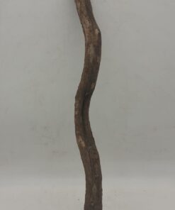 Monkey Ladder Liana - Short - 2