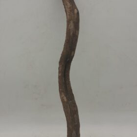 Monkey Ladder Liana - Short - 2