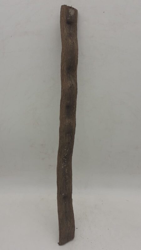 Monkey Ladder Liana - Short - 3