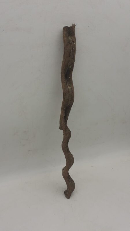 Monkey Ladder Liana - Short - 5