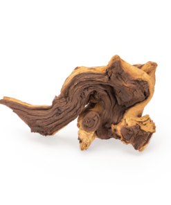 Other Vines, Branches & Wood