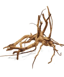 Spiderwood (Redmoor Wood)